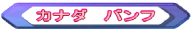 �J�i�_�@�o���t